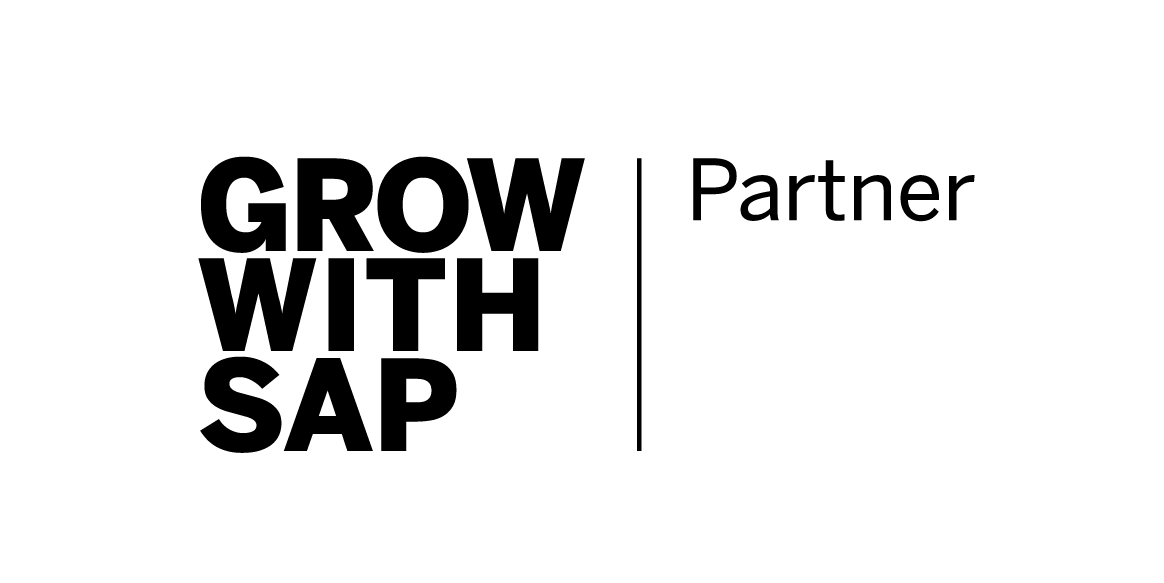 Supernova Consulting, SAP 