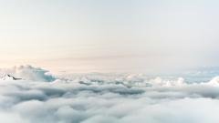 Cloud